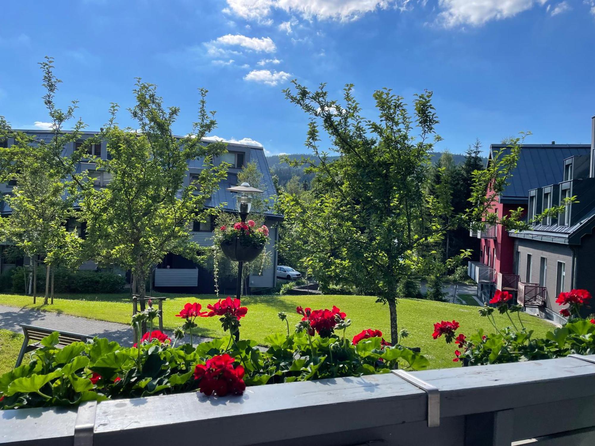 Spirit Harrachov Superior Wellness Apartments - Free Wellness, Wifi, Parking, Harrachov Card Exterior foto