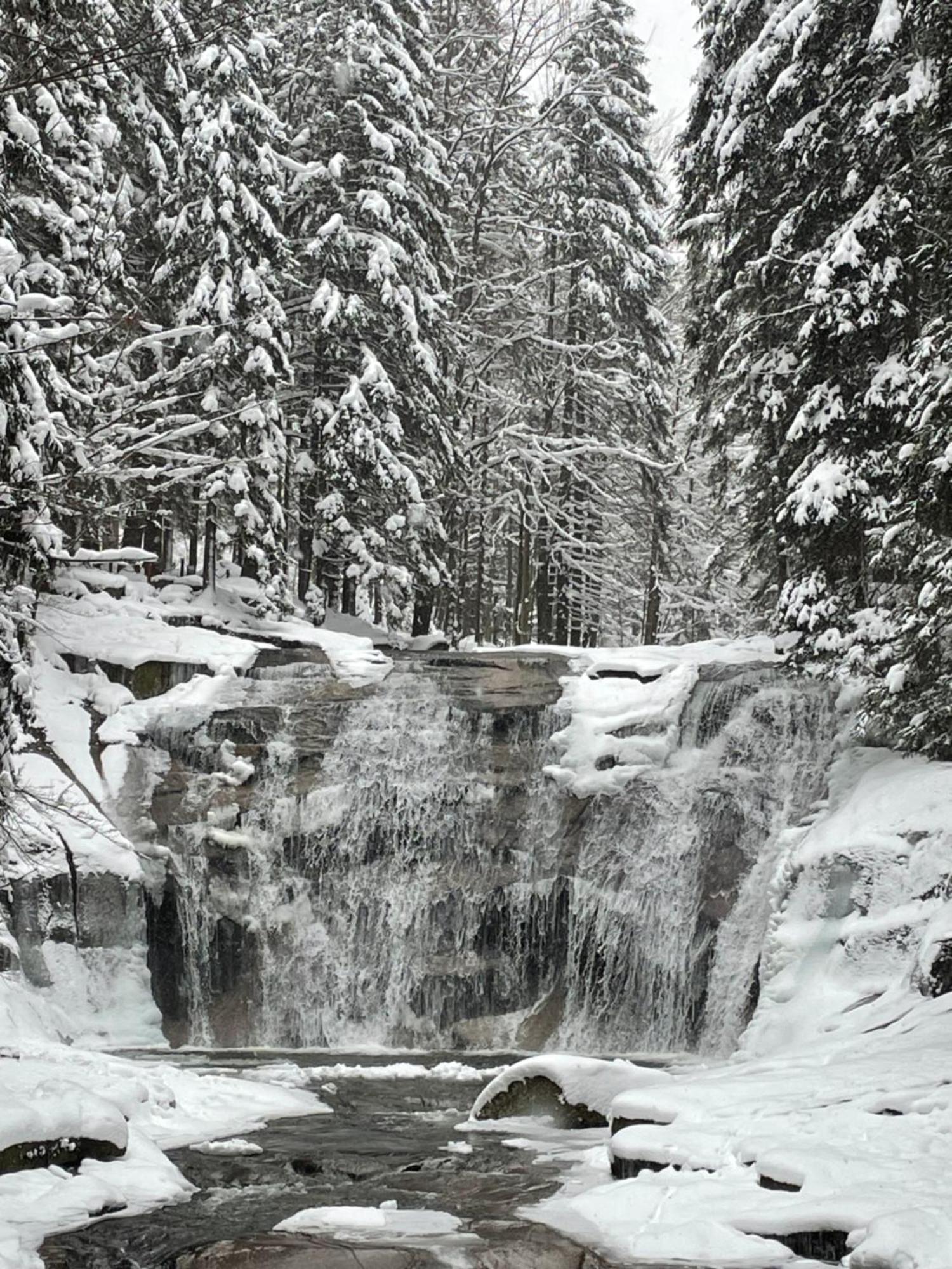 Spirit Harrachov Superior Wellness Apartments - Free Wellness, Wifi, Parking, Harrachov Card Exterior foto