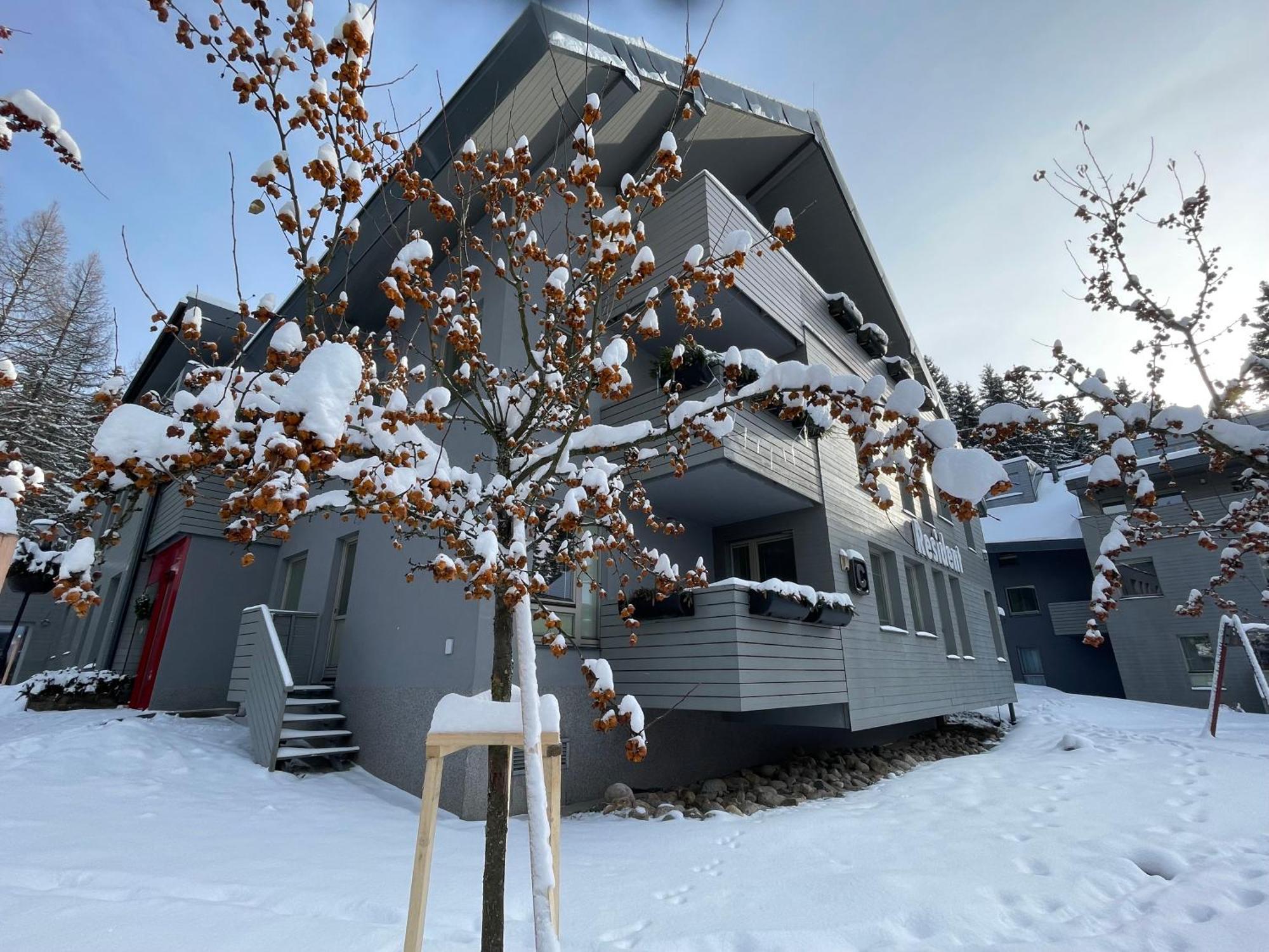 Spirit Harrachov Superior Wellness Apartments - Free Wellness, Wifi, Parking, Harrachov Card Exterior foto