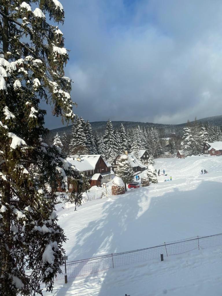 Spirit Harrachov Superior Wellness Apartments - Free Wellness, Wifi, Parking, Harrachov Card Exterior foto